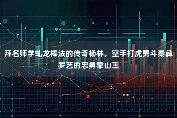 拜名师学虬龙棒法的传奇杨林，空手打虎勇斗秦彝罗艺的忠勇靠山王