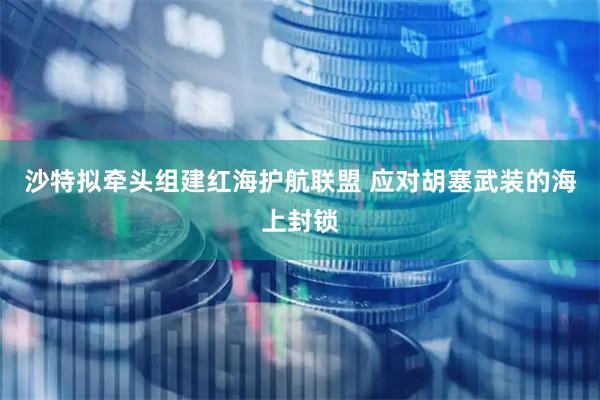 沙特拟牵头组建红海护航联盟 应对胡塞武装的海上封锁